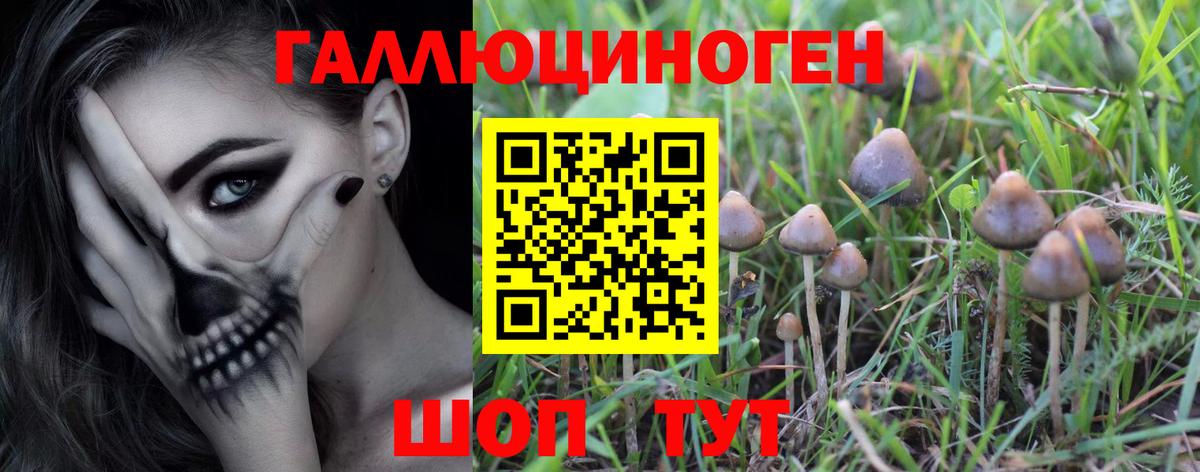 Галлюциногенные грибы Magic Shrooms Протвино